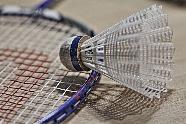 Imagen pelota badminton